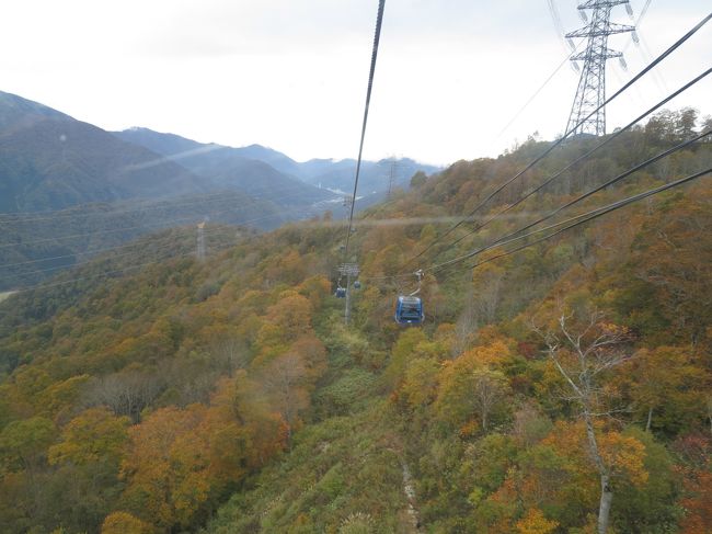 一年に一度友人家族と紅葉と温泉を楽しむ旅行をしています。<br />今年は、新潟の栃尾又温泉自在館に宿泊して紅葉を楽しむ旅行です。<br />越後湯沢駅の観光案内所で紅葉の見れる場所を確認してレンタカーを借りて苗場へ向いました。<br />苗場には世界最長のドラゴンドラがあります。これに乗って紅葉を楽しみました。<br />8人乗りのゴンドラで乗車時間が約25分あるのでゆっくり景色を楽しみました。<br />まだ色づき始めたばかりでしたがところどころ綺麗なところもあり紅葉を先取りです。<br />宿泊は栃尾又温泉の自在館です。ラジウムが含まれている温泉でパワースポットでもあります。<br />翌日は天気が悪かったのでチェックアウトぎりぎりまで滞在して、貝掛温泉でお昼と日帰入浴をして東京へ帰って来ました。<br />今回えきネットでJRの予約をしたのですが、往復とも35%引きの切符が<br />とれたのでかなりお得でした。あまり良い時間帯は設定がありませんが<br />それでも行き9時代、帰り16時代でしたので十分楽しめました。<br />レンタカーは大人の休日倶楽部会員価格で安くなりました。<br />