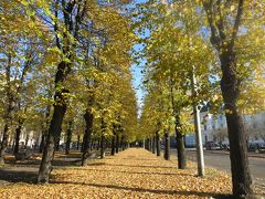 秋のリガはカワイイものだらけ☆