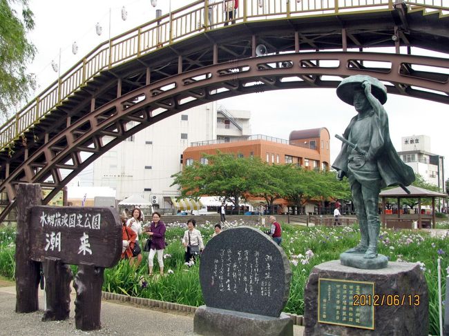 梅雨時は、アヤメの季節です。<br />あちこちのアヤメ・菖蒲を見て来ましたが、潮来の花は未だ見たことがありません。<br />今回は、12名の仲間と一緒に、日帰りバスツアーで潮来のアヤメを楽しんで来ました。<br />ツアーのタイトルは、『水郷潮来あやめ祭り・名船頭さんとめぐる潮来十二橋全周遊　銚子港直送！　犬吠埼で５種海鮮丼と魚師のつみれ汁』という、長い大げさな名前です。<br />コースは、成田山新勝寺 ⇒ 道の駅・多古 ⇒ 犬吠埼 ⇒ 潮来十二橋巡り ⇒ 愛友酒造　と盛沢山の内容でした。<br /><br />写真は、潮来の伊太郎像とアヤメの花です。<br />