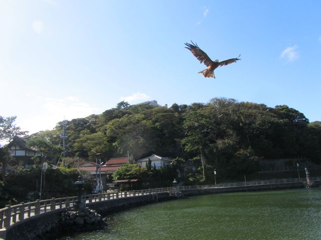 ２泊１日の山口行き。<br />山口情報芸術センター（湯田温泉）<br />明神池（萩）<br />秋吉台<br />秋芳洞