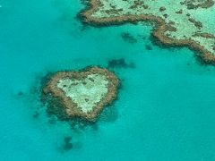 初めてのハミルトン島 ケアンズ ３日目 グレートバリアリーフ満喫 ハミルトン島 オーストラリア の旅行記 ブログ By 有栖さん フォートラベル