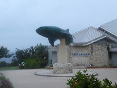二度目の美ら海水族館