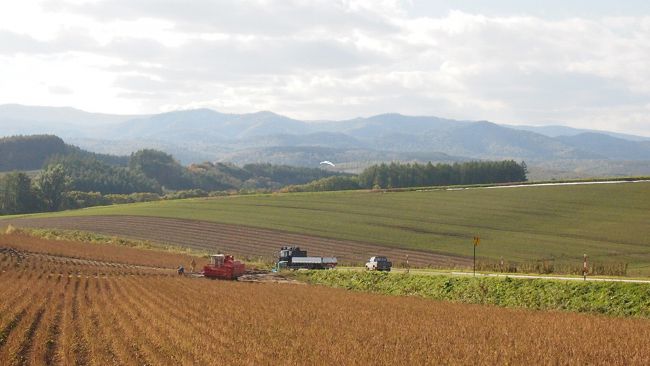 秋深まる北海道は、美瑛・富良野・十勝へ行ってきました＾＾<br /><br />１０月も半ば過ぎということで、<br />観光シーズンも終わりかけ・・・<br /><br />長閑に、長閑に、冬支度を始めていました。<br /><br /><br /><br /><br />