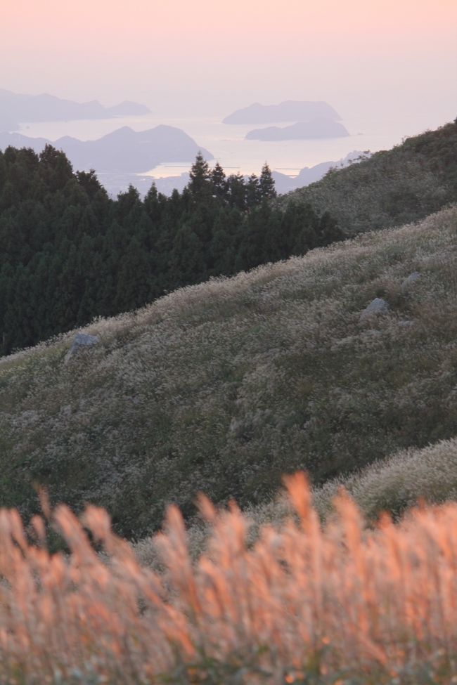 　昨年は終わりかけの曽爾高原ススキを観にいきまいたが、黄金色に輝くススキを見ることができなかたので、数十年ぶりに生石高原のススキを満喫してきました。<br />　生石高原は、関西百名山生石ヶ峰（870Ｍ）を中心にススキのじゅうたんをしきつめた高原です。<br />　数十年前は対向できない道が多くあり、渋滞となっていましたが、平日ということもあり、対向できない道も少なくなっており、往復ともスムーズに行けました。<br />　また、観光バスが昇って（有田川町側から）きていたのには、ビックリしました。