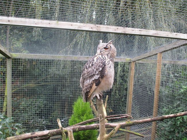 勤め先の家族会が主催した歓迎遠足で動物園に行ってきました。