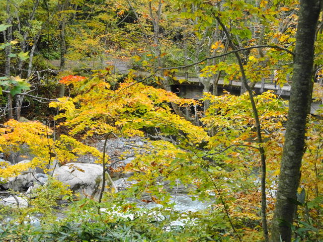 そろそろ色づき始めた「谷川温泉」と、紅葉真っ盛りの「奥利根・照葉峡」で、美しい秋の風景を楽しんできました。<br />そして、「温泉&amp;美味」を堪能～～♪<br />今回は、ついでに「ダム」も楽しみました！