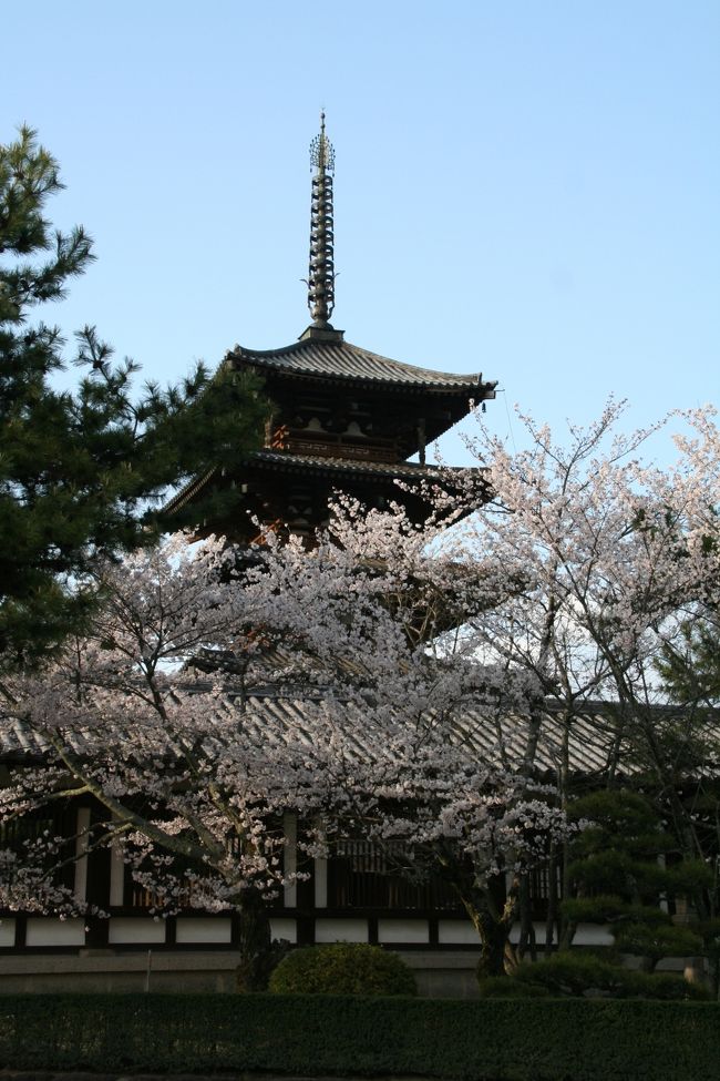 JR東海のテレビコマーシャルってうまいですよね。その季節ごとに京都に行きたくさせますね。<br />吉野の桜は一度は見ておきたかったので、2010年に行ってきました。<br /><br />この旅行記はまずは4/4の奈良での寺社めぐりです。<br /><br /><br /><br />4/4　新幹線で京都へ。京都から近鉄特急で奈良へ。<br />　　薬師寺・唐招提寺・中宮寺・法隆寺へ。<br /><br />4/5　奈良観光。興福寺・東大寺・春日大社。<br />　　近鉄特急で吉野へ。<br /><br />4/6　吉野観光。バスで奥の千本へ。<br />　　西行庵・金峰神社・吉野水分神社を通って、上の千本・中の千本へ。夕方、近鉄特急で京都へ。京都のライトアップを鑑賞。<br /><br />4/7　京都観光。醍醐寺・随心院・哲学の道・銀閣寺・南禅寺。二条城へ。<br />