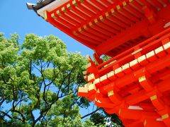 京都・祇園から八坂さん、青蓮院