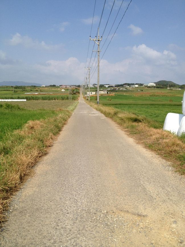 旅行の最大の目的は波照間島の真っ青な海を見ることだったのですが,台風の影響で海が荒れてて波照間行きの船が出ませんでした。<br />なので、宿泊している石垣島を拠点に竹富島・小浜島・黒島を巡りました。<br />台風の影響で風は強かったのですが天気は晴れ間もあり楽しめました。<br />来年こそ波照間島へ行きたいです。