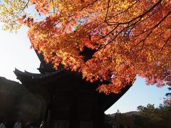 ★紅葉の京都を家族で散策★