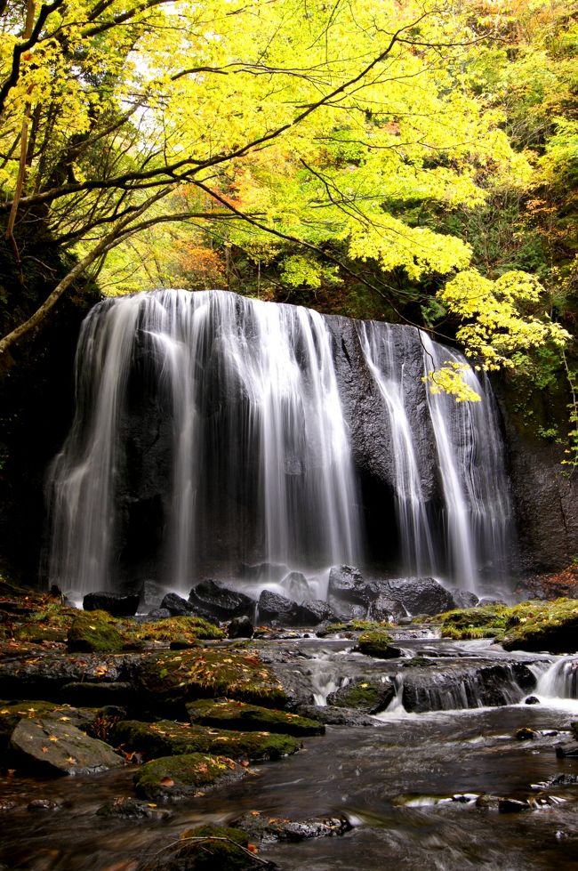 ☆『紅葉の磐梯沼尻・絶景白糸の滝＆天然秘湯』を楽しんだ後は、山を少し下った場所にある<br />中ノ沢温泉より少し奥まった山あいにある『達沢不動滝』も訪ねました。<br />達沢不動滝は『日本の滝百選』には選ばれていない福島県猪苗代町にあるローカルな滝ですが、<br />全国の滝マニアからはその秀麗な美しさかからとても人気のある滝で、<br />度々TVや映画の撮影地にもなっている隠れた名瀑です。<br /><br />紅葉の見頃には少し早いと思いました、滝の撮影にはちょうどいい曇り空。<br />観光客も少なく静かに、のんびりマイナスイオンに癒されてきました(^^♪。<br />猪苗代や裏磐梯にお越しの際はぜひ足を運んでみてください。