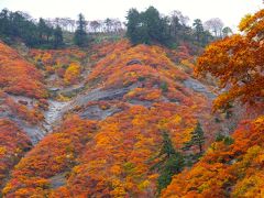 白山スーパー林道の紅葉