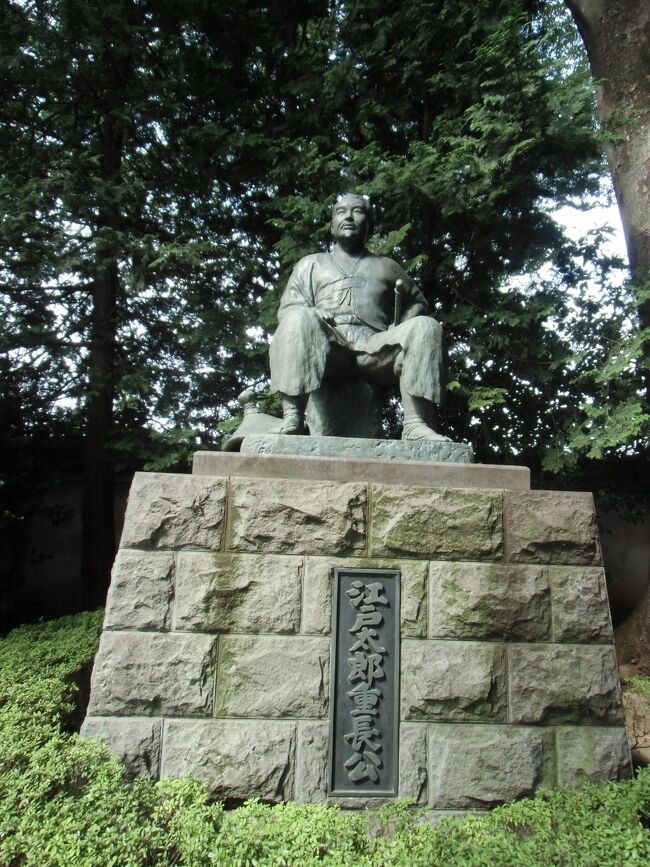 江戸氏菩提寺の慶元寺(けいがんじ)は二代目江戸重長(えどしげなが、生誕不詳〜1225)が開基した寺院ですが、従来は江戸氏の本貫地(本籍地)である江戸の紅葉山に創建され、その名も天台宗・岩戸山大沢院東福寺と称していました。<br /><br />そもそも江戸氏は由緒ある家柄で、桓武平氏の流れを汲む秩父一族の諸流で平重綱(たいらのしげつな、生没不詳)の四男重継(しげつぐ、生没不詳)が金杉・霞が関・桜田(現在の港区・千代田区)の海岸に流れる平川の上流の南部の荏原郡辺りを本拠とし、その地名から自らの姓を「江戸」と称することになります。<br /><br />一方伊豆に配流の源頼朝は平氏に不満を持つ周辺武士の支援に合わせ治承4年(1880)兵を挙げますが石橋山で敗北、再起を図るため安房に逃れます。<br /><br />安房で下総・上総の武士団を編成した頼朝は1ヶ月後には下総と武蔵国境に到着、兵力は既に3万7千余騎の勢力に増えており、武蔵国を渡る状況になります。<br /><br />ここで頼朝は在武蔵国の主たる武士団に参向するように呼びかけますが、主力の秩父一族の反応は芳しくなく豊島・葛西の参集を除き期待外れの結果となります。ここで頼朝は葛西清重(かさいきよしげ、1161?〜1238)に命じ秩父一族の棟梁・江戸重長を誘き出して殺すように命じ、同時に総勢の軍団を率い隅田川を渡り武蔵国を進みます。<br /><br />ところが数日後頼朝の武蔵入国に対し強い抵抗を示していた江戸重長が葛西清重の説得が功を奏したのか一族の畠山重忠(はたけやましげただ、1164〜1205)・河越重頼(かわごえしげより、生年不詳〜1185)らと共に参向してきます。<br /><br />頼朝はこの参向について三浦氏攻撃の経緯を認識しつつも現状を考慮しこれを許し、とにかく源義朝ゆかりの地である鎌倉へ向けて行軍を続きますがその先頭は今ほど参向の意を表した畠山重忠であり、言ってみれば頼朝はこの先陣を務める名誉を与えたことは秩父一族を重視せざるを得ない状況を認識してしていたことでありました。<br /><br />当然ながら頼朝は強力な秩父一族を取りまとめる江戸重長に武蔵国における政務代行を命じ、頼朝が武蔵国を占拠運営するにあたりに重長にその権限を与えることになりますが裏返せば頼朝は差当り重長に頼らざるを得ない立場であった事を裏付けています。<br /><br />上述の理由により秩父一族に属する畠山氏、河越氏、葛西氏を中心とする御家人の取り扱いは重要視され、とりわけ秩父一族の実力者として重長の名は頼朝の行事には必ず供奉人の中に連なりまさしく有力御家人の一人として重要視されていました。<br /><br />建久6年(1195)頼朝が二回目の上洛をして東大寺供養に臨んだ際、御供隋兵28騎に当然ながら重長の名が記されていましたが以降については彼の活躍の状況が判らず恐らく間もなく死去したと思われます。<br /><br />室町時代に入りますとかつての秩父一族などといった枠組みは完全に過去のものとなり、幕府のミニ版鎌倉府が公方と公方を補佐する関東管領により関東十国(後に十二国)が運営されます。<br /><br />然しながら室町幕府の慢性的な統制力欠如のため将軍選出時には鎌倉公方の反幕府の動きがあり、これに対し関東管領を支援する幕府軍が公方方へ武力介入し沈静化を図りますが幕府の不安定であるがゆえにその場凌ぎが否めません。<br /><br />こうした幕府の不安定さが関東にも影響が伝わり、鎌倉公方と関東管領上杉氏の争いの中江戸氏は他の武士組織と同様に自らの将来をかけざるを得なくなります。<br /><br />江戸氏は南北朝の騒乱においては当初は南朝の新田義貞に従い、後に北朝に帰順して鎌倉公方に仕えることになります。その中で足利方の命により江戸高良(えどたかよし、生没不詳)並びに冬長(ふゆなが、生没不詳)らが策略を使い義貞息子の新田義興(にったよしおき、1331〜1358)を謀殺、これにより「きたなきふるまい」とのレッテルを貼られ江戸氏の衰退が始まります。<br /><br />一方関東管領上杉氏に不満を抱く当時の棟梁である河越直重(かわごえなおしげ、生没不詳)を中心とした秩父一族による平一揆が挙兵しますが逆に見事に鎮圧され、武蔵国を代表する秩父一族は勢力を一掃され同族の江戸氏も例外なく勢力を失います。<br /><br />勢力を失った武士団はみじめです。江戸氏も然りで本来所領である荏原郡はすべて失われ扇谷上杉氏支配下となり、家宰の太田道灌(おおたどうかん、1432〜1486)が江戸城に入り、江戸氏は残された領地多摩西部の喜多見に追われるように移ります。<br /><br />新たな秩序として喜多見を拠点とする江戸氏は世田谷城主・吉良氏に属する武士団として再出発、小田原北条氏の庇護のもと戦国時代後期を耐え忍びます。<br /><br />天正18年(1590)豊臣秀吉の小田原征伐に関連し、江戸勝重(えどかつしげ、生没不詳)は小田原城籠城の一員となりますが、秀吉の包囲に耐え切れず開城小田原北条氏滅亡、敗れた勝重は喜多見に逃れ秀吉軍の追討を凌ぎ生きながらえます。<br /><br />同年関東に入部した徳川家康は早急に広大な新領地を治めるため、かつての旧統治者の活用をすべく各地の有力者を重用します。<br /><br />家康は江戸氏についても勝重に旧領の喜多見500石を安堵し、これを機に江戸氏は家康の江戸入城を考慮して自らを喜多見氏に改姓し徳川家の旗本となります。<br /><br />その後喜多見重政(きたみしげまさ、1651〜1693)は5代将軍綱吉の側小姓となり、貞享2年(1685)の生類憐みの令の推進者として活躍、やがて2万石の大名に昇進し喜多見氏の栄華を極めます。<br /><br />この栄華は続かず元禄2年(1689)、喜多見氏内部の不倫沙汰から刃傷事件に広がりこれが幕府の知る所となり改易の憂き目に遭い江戸氏はとうとう滅亡します。<br /><br /><br /><br /><br /><br /><br /><br /><br /><br /><br /><br /><br /><br /><br /><br /><br />