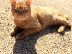 瀬戸内国際芸術際2013　豊島・犬島