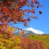 東北癒し旅：温泉と紅葉