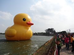 台湾で大人気の黄色小鴨を見に行く