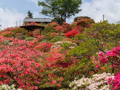 笠間/下妻/古河ぐるり旅【2】～色鮮やかなつつじが山全体を埋め尽くす～笠間つつじまつり2013【後編】