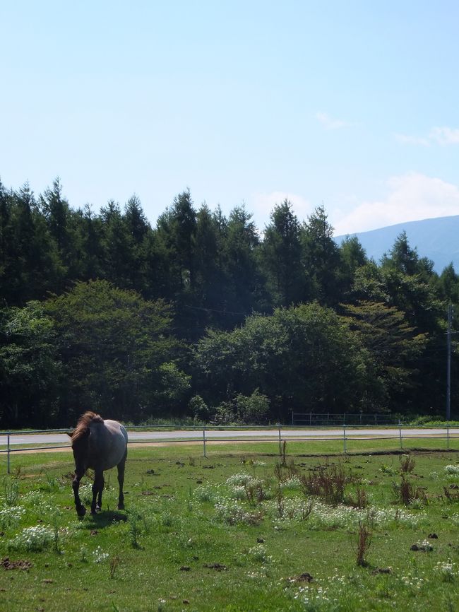 毎年、子供たちを連れて実家で夏休みを過ごす妹家族。<br /><br />いつもなら実家でのんびりするだけだけど、今年は皆で1泊2日で小旅行に出かけることに。<br /><br />暑い夏はやっぱり涼みに行かなきゃ！<br />子供もいるし、ドライブが飽きない程度の場所で。<br />美味しいものも食べたいなぁ〜（＾ｕ＾）<br />温泉＆プールも楽しみたい！etc・・・<br /><br />皆の希望を挙げたらキリがない！？<br /><br />でも、全てが叶う場所があった♪<br />そこは高原の風と木漏れ日注ぐ蓼科高原。<br />宿泊先は会社の恩恵を受けエクシブ蓼科です。<br />折角なので利用しなきゃ損でしょ！<br /><br /><br />途中、牧場や地元の隠れたグルメ店にも立ち寄りながら<br />家族みんなの夏休みを楽しみました。<br /><br /><br />■エクシブ蓼科<br />　ラージグレード<br /><br /><br />