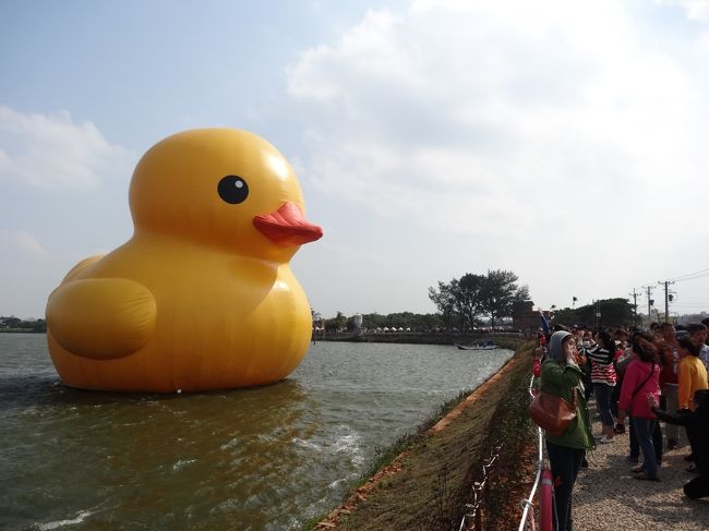 今、台湾で一番人気の黄色小鴨（ファンスー　シャオヤー）を見に桃園の芸術節に行ってきました。