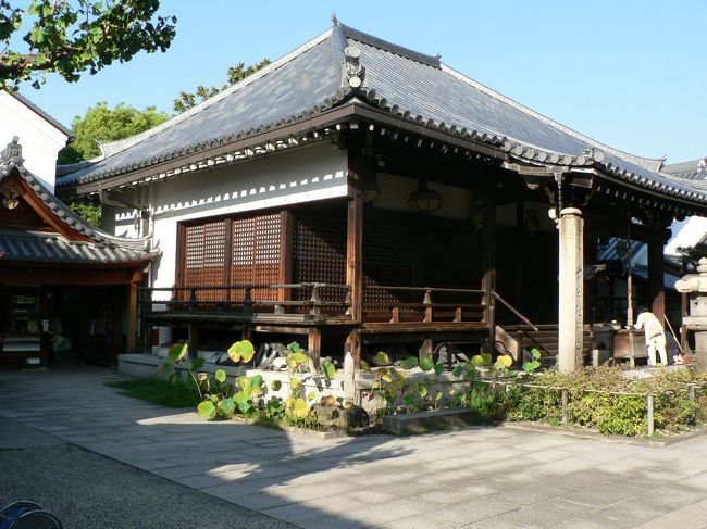 大阪市平野区の野中山 全興寺 ( せんこうじ )は高野山真言宗・おおさか十三仏霊場・摂津八十八ヶ所霊場で聖徳太子が平野の野中の地に小宇を建立して薬師如来の像を安置されたと寺伝にあるとのこと。<br />薬師堂からしたいに町が形づくられ「平野」発祥の地とも言われており本堂は江戸時代初期1615年の大阪夏の陣で一部を焼失し1661年に再建されたもので、阪府下では古い木造建築の一つ。 <br />本尊は薬師如来で聖徳太子の作と伝えられており真田幸村が樋之尻口の地蔵堂に仕掛けた地雷によって飛来したという伝説をもつ「首の地蔵尊」や湛慶作と伝えられる「太子の像」がある。境内には、「地獄堂」や「水琴窟」「駄菓子屋さん博物館」もあり見どころが多い。<br />全興寺には、「地獄堂」という見せ物小屋があり新聞TVなどでも取り上げられている。地獄堂は子供たちに「悪いことをしないこと」と「自分の命を大切にすること」を教えるために開いたもので閻魔大王の恐ろしい姿が見える。<br />(写真は全興寺)<br /><br /><br />