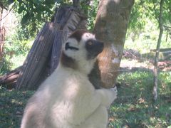 マダガスカル一人旅　[費用詳細つき]