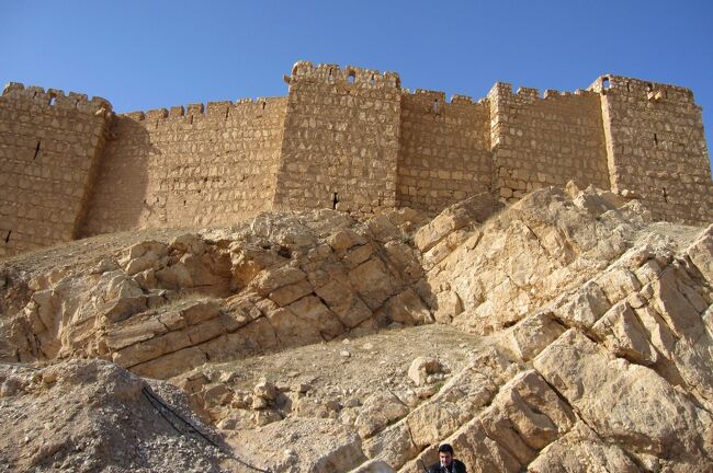 中東旅行の3日目です。早起きしてパルミラの早朝散策をしました。この日、最初に見学したのはアラブ城です。丘の上に建つこの城塞は、散歩の途中でも遠望できました。