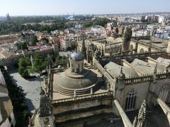 感動のスペイン旅行記（5日目）セルビア