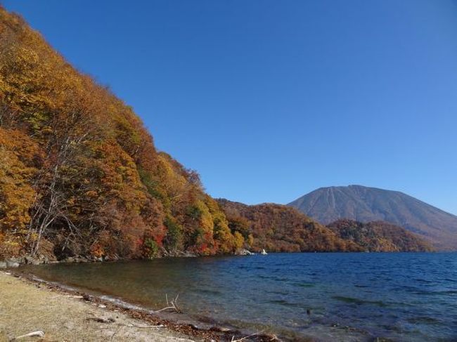 昨年は子供の受験期で紅葉狩りには行くことができず、今年も色々忙しくて無理かなと諦めていたところ、主人が休みが取れることになり、平日に日帰りで日光へ行くになりました。<br /><br />紅葉情報を調べてみると、湯滝や戦場ヶ原は紅葉が終わりかけ、中禅寺湖や華厳の滝の辺りがちょうど見頃とのことで、中禅寺湖を中心に回ることにしました。<br /><br />今までは湖沿いの道を車で通り過だけでしたが、湖畔には散策できるコースがあるようなので、折角だから少し歩いてみたい。<br /><br />湖南コースも良さそうだし、湖北コースも歩きやすそう。<br />ネットで調べていると、低公害バスでしか行くことができない湖西側の千手ガ浜の、ちょど一日前の美しい紅葉の写真が目にとまりました！<br /><br /><br />日光へは何度か訪れているのですが有名な所だけ。<br />今回は夕方６時頃には帰宅しなければいけないこともあり、混雑を避け今まで行ったことがない穴場を巡ることにしました。<br /><br />☆スケジュール<br />竜頭の滝（通り道だったのでちょとだけ立ち寄り）<br />低公害バスで千手ガ浜<br />中禅寺湖展望台<br />半月山駐車場から眺望<br />イタリア大使館別荘記念公園<br />剣ヶ峰Pから般若滝、方等滝<br /><br />滞在６時間弱、急ぎ足日帰りの紅葉狩りです。<br /><br /><br /><br />