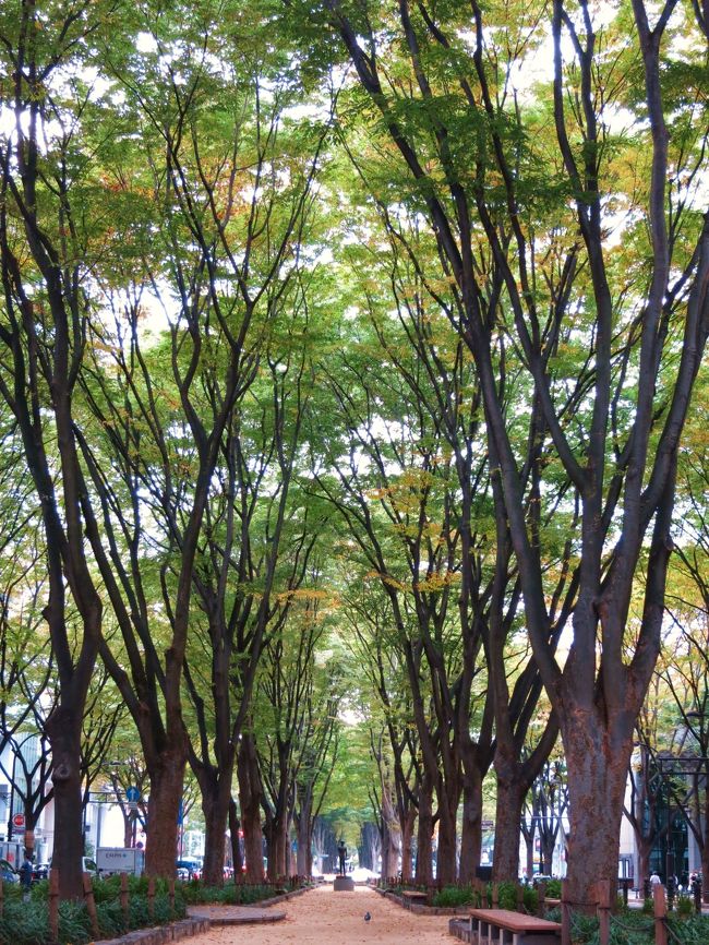 勾当台公園界隈に行く用事があったので、定禅寺通りのケヤキ並木の紅葉はどうかな？とついでに見にいくことに・・・。<br /><br />ケヤキの紅葉は、単一色ではなく、赤・橙・黄と、個体によって紅葉の色が異なるんだそう。<br /><br />定禅寺通りのケヤキは、全体的にはまだ色づき始めたばかりのようだったが、赤や黄色などが混じり合い、そのグラデーションはなかなかの美しさ。<br /><br />勾当台公園市民広場で、ちょうど古川市・大崎市の地場産品のイベントをやっていたのでのぞいてみた。<br /><br />その帰り、早くも見かけたクリスマスディスプレイ・・・大好きなクリスマス＆イルミシーズンもいよいよだな〜〜〜と、ワクワクしてきた〜〜！