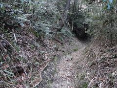 【けもの道に ご用心】　奈良・生駒山