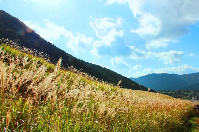 Geo Park 箱根火山を遊ぶ 