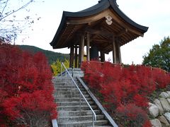 燃える赤ドウダン、見事な紅葉の寺、霊松寺