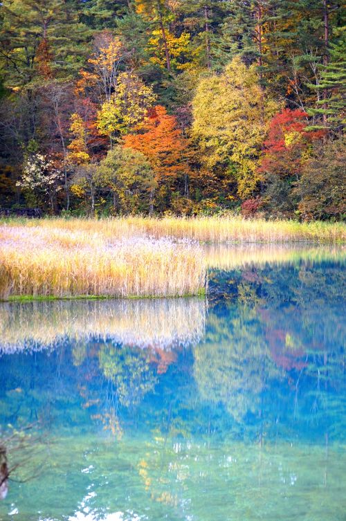 観音沼錦秋 錦の秋 | iichi 日々の暮らしを心地よくするハンドメイドや