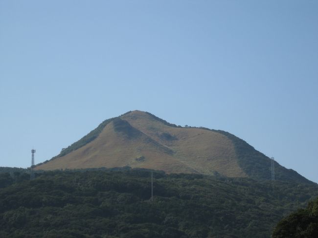 　平戸にしか咲かないという　イトラッキョウに会いたくて、久々に平戸までドライブ<br /><br />　自宅を９時発と決め、携帯の目覚ましを７時にセットして就寝<br />一度目を覚ましたものの　まだ暗かったので二度寝する<br />スッキリと目覚め、時計を見ると　７：４５　えー　なんで鳴らないの？　マナーモードになってました　(*_*;<br />跳ね起き、猛ダッシュで洗濯をし、朝食、弁当を作り、準備して予定より１０分遅れで出かけました（化粧はクルマで）