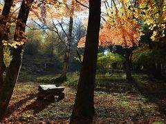 中禅寺金谷ホテルとイタリア大使館別荘記念公園の紅葉＆シェ・ホシノでの絶品ランチ♪