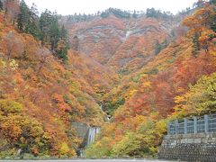 義理・実母孝行の紅葉ドライブ＠高山・白川郷・スーパー白山林道　１日目