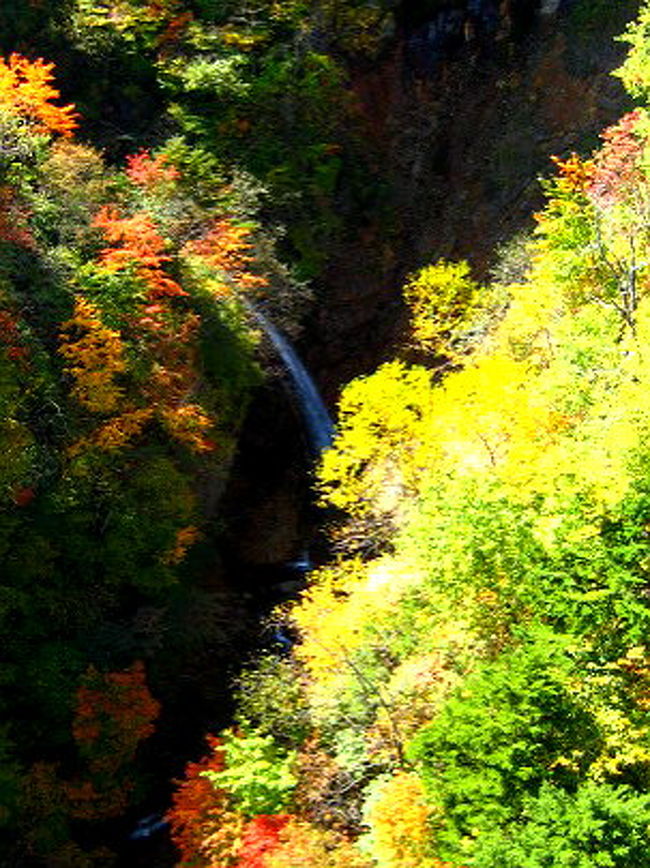 磐梯吾妻スカイラインのつばくろ谷から不動沢橋から見た橋から不動沢の滝です。2013年10月13日現在、紅葉はここら辺まで下りてきていました。 <br />2013年10月連休は東北のお山に紅葉見物＆登山です。