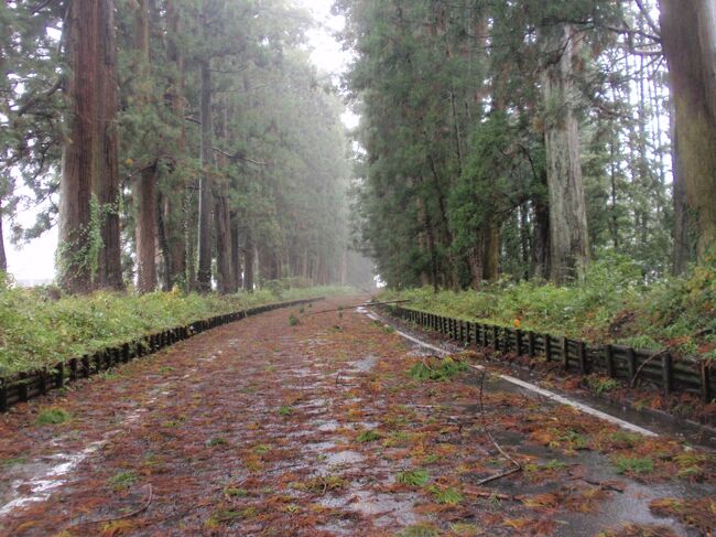 宇都宮宿を経ち、いよいよ日光杉並木を歩きます。本日はずっと雨の中の行軍になってしまった。だから余り寄り道していない。<br />今市宿までの歩程です。