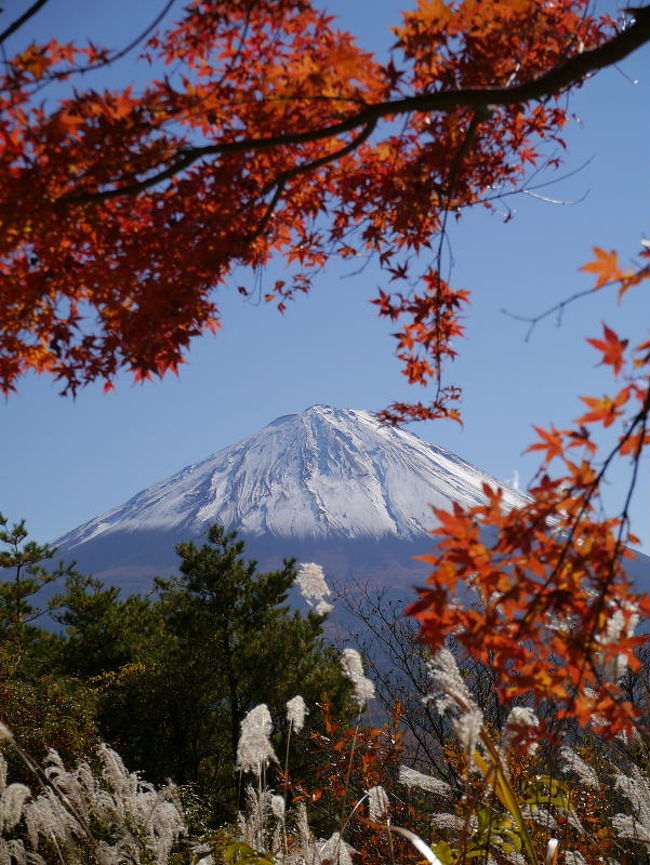 2012年河口湖の紅葉まつりへ行ったときの様子です。<br /><br />せっかく富士山までいくので朝早く家を出て、新しくなった新東名のサービスエリアによったり、富士周辺をドライブしたり、1泊2日で富士周辺を楽しんできました。