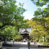 GW修善寺・天城・河津七滝ぶらり女子旅（２日目：天城・河津七滝散策）