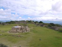 中米六カ国縦断の旅4♪天空の都市　モンテアルバン古代遺跡と世界一大きな木