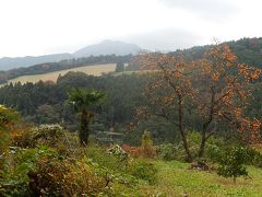 初めての大霧山ハイキング①小川町～大霧山山頂 