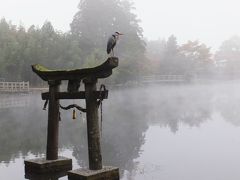 九州2013～宮崎・熊本・大分縦断の旅（3日目湯布院・別府）