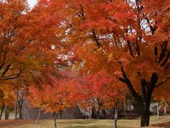 紅葉狩り～清里・横谷渓谷・河口湖～