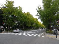 紅葉（黄葉）を楽しむ横浜散歩