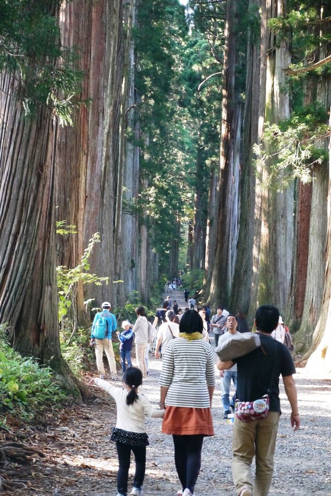 黒部ダムを出発して、峠道を走ること約１時間半。<br />今回の旅行の最後の目的地戸隠に到着です。<br /><br />そもそもなぜ戸隠に来ることになったのか…<br />黒部ダムは絶対立ち寄りたい場所だったので、ちょっと時間があいたときに近場で立ち寄れるところ…と、地図を眺めていたら飛び込んできた場所が「戸隠」<br />なぜ、「戸隠」に惹かれたのか…<br /><br />凄い単純なんだけど、静岡の義母のところに来たら必ず行く近所のお蕎麦屋さんが「戸隠」というただそれだけの話なんだけど。＾＾；<br /><br />でもそれだけではない、戸隠はパワースポットとしてもかなりの人気の場所のようです。<br />美味しいお蕎麦もいただいて、戸隠古道をちょっと散策、戸隠でパワーをいただいてきました。<br /><br />今回も、義母と一緒に巡る２泊３日の旅行、相変わらずいろいろとあったけど無事終えてホッとしています。<br /><br />さ、次回は８０歳を迎える義母を連れてどこに行こうかな～♪