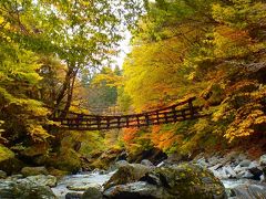 奥祖谷二重かずら橋の紅葉