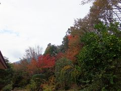 筑波山へ　小さい秋探し♪