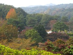 ほんのり秋色の宮沢湖温泉「喜楽里別邸」