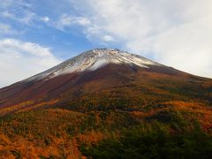 人生初の一人旅・・は・・　“富士山の懐へ”　～　“富士山本宮浅間大社参拝と奥庭荘宿泊”